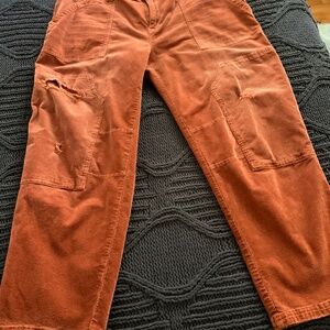 Rich rust Anthropologie Pilcro pants 14/16